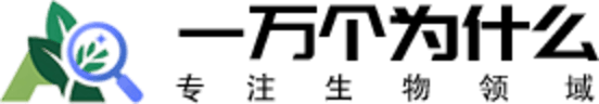 一万个为什么