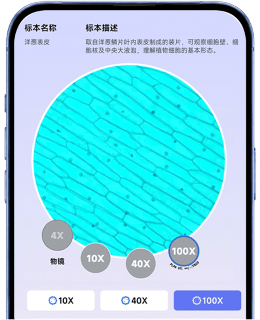 样本
