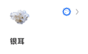`图片${index}`