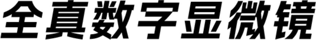 科研级实拍标本