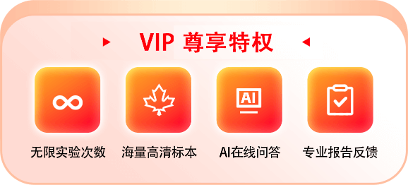 小火苗