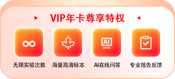 小火苗