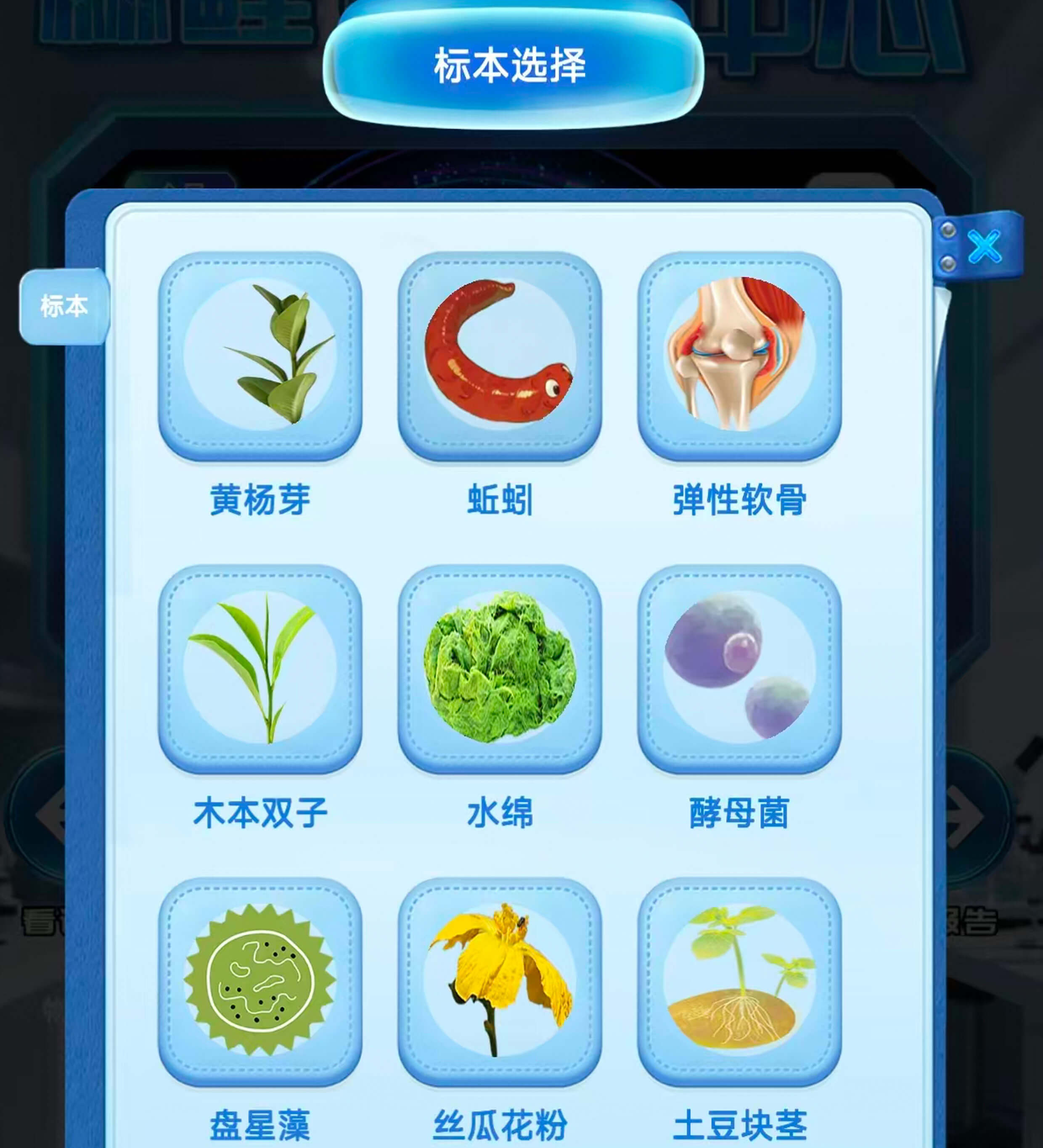 标本图片